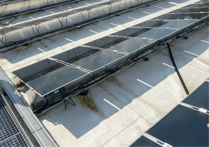 2 Eindrückung der Dämmschicht durch Linienauflager mit Pfützen- und Algenbildung