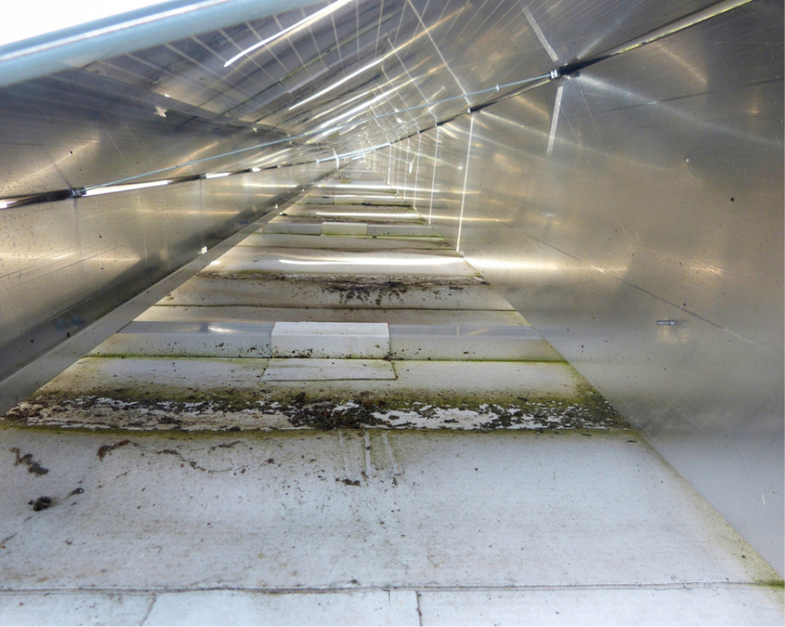 16 Nicht zulässige Klebeverbindungen als Standsicherung auf Dachbahn