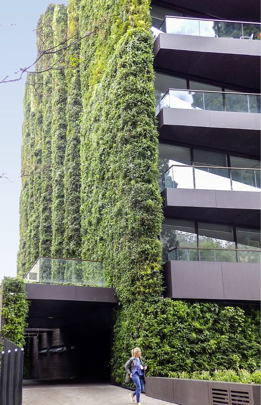 3 Eine der begrünten Fassaden am Projekt Santalaia, Bogotá, Kolumbien