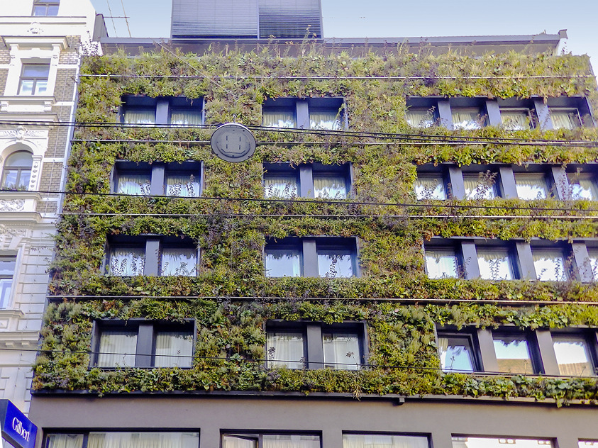 4 Das Hotel Gilbert in Wien, mit einer passgenauen modularen Wandbegrünung