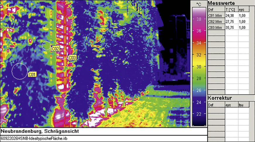 5 Südfassade mit Wisteria vor einer Fensterfront