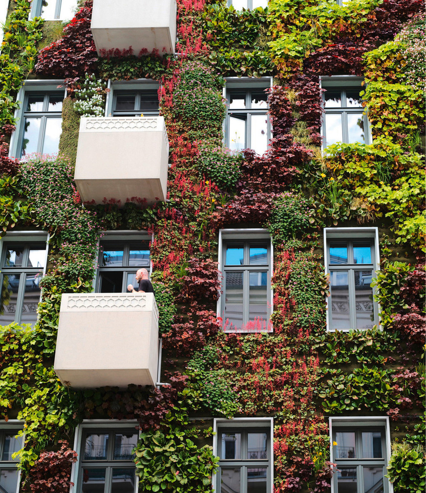 4 Bauwerksbegrünungen an der Fassade entlasten das städtische Mikroklima durch Verdunstungskühle.