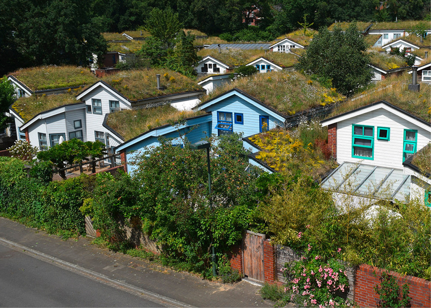 8 Auch Steildächer eignen sich mit entsprechenden Systemen für eine extensive Begrünung.