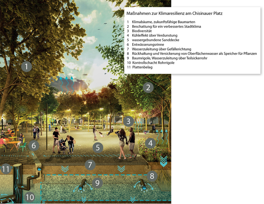5 In der Realität fehlt derzeit noch das grüne Blätterdach der frisch gepflanzten Klimabäume auf dem Chisinauer Platz, aber das Schwammstadt-Prinzip erfüllt bereits heute seine Funktion für den Umwelt- und Überflutungsschutz. Das im Untergrund gespeicherte Wasser hilft den Bäumchen beim Wachsen.