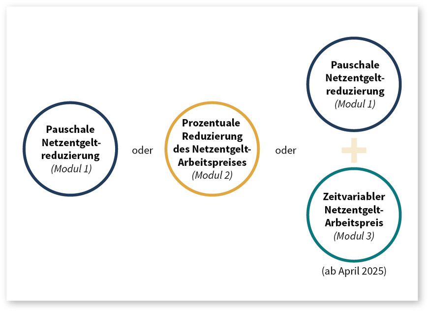 5 Wahlmöglichkeiten bei der Reduktion der Netzentgelte