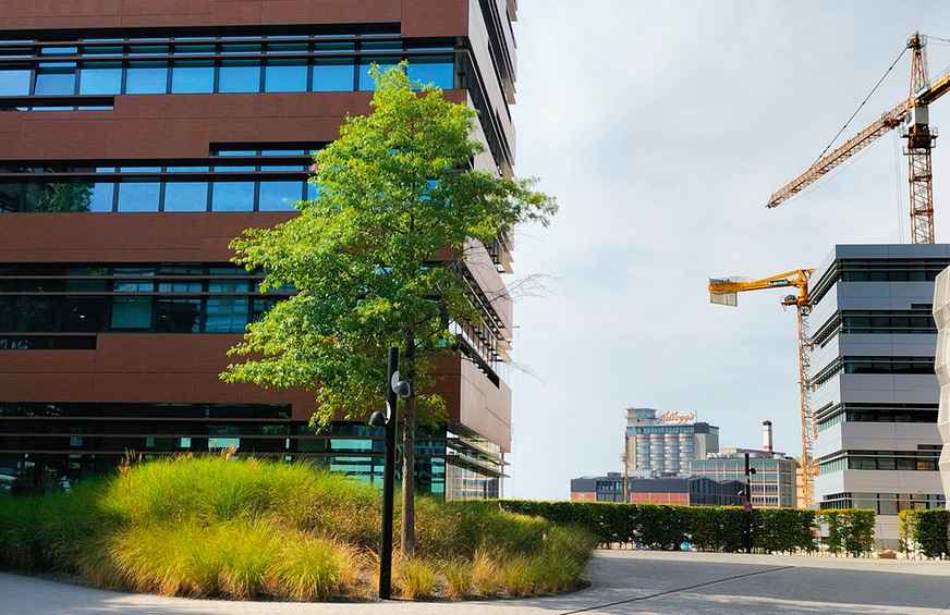 Deutsche-Windtechnik-Firmenzentrale (rechts) gegenüber von der Firmenzentrale des Schwesterunternehmens WPD (rostrotes Gebäude). Im Hintergrund das Kellogg’s-­Speicher-Hotelprojekt von Deutsche-Windtechnik-Eigentümer Klaus Meier