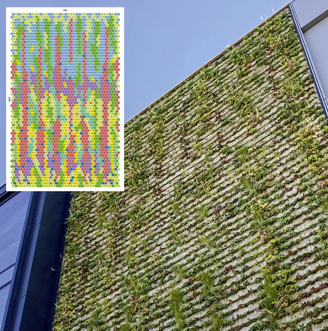 4 Die nicht brennbaren Vlies-Pflanztaschen der Grünfassade sind exakt nach Plan mit elf verschiedenen Pflanzen bestückt, die übers Jahr in sechs verschiedenen Farben blühen.