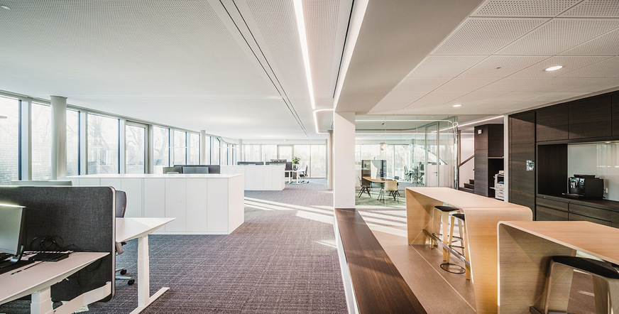 6 In den offen gehaltenen Bürozonen dominieren die Farbe Weiß und Holz. Der Teppich besteht aus recycelten Fischernetzen und Plastikflaschen.