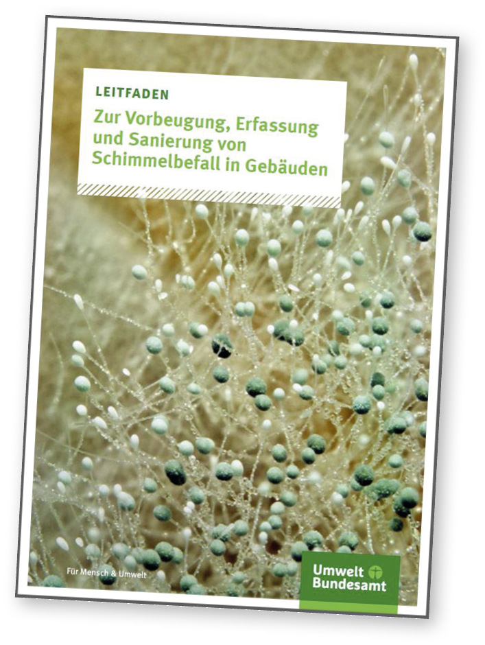 5 Der Leitfaden „Zur Vorbeugung, Erfassung und Sanierung von Schimmelbefall in Gebäuden“ des Umweltbundesamtes ist eine solide Grundlage für eine erfolgreiche Sanierungsberatung im Schadens­fall. Die Broschüre erläutert detailreich die verschiedenen Schadensmechanismen und Sanierungsmethoden.