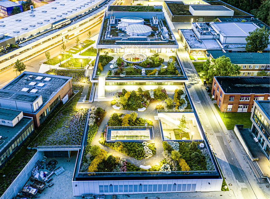 Wer auf grüne Dächer oder Fassaden setzt, wird vor allem in größeren Kommunen bei der Abwassergebühr entlastet.