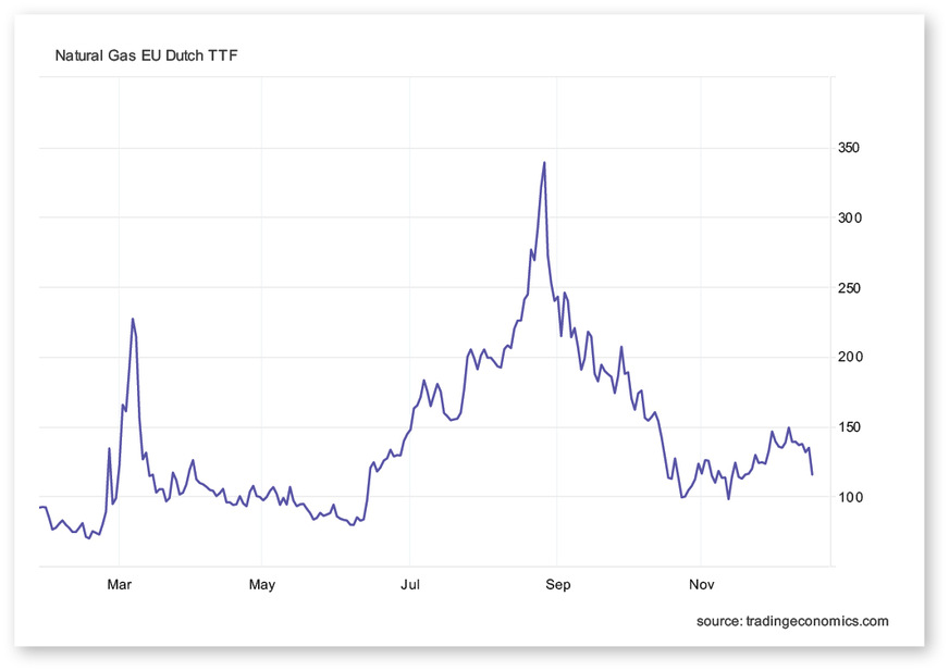 3 Volatilität der Preisentwicklung am Spotmarkt für Erdgas der vergangenen elf Monate (Stand: 8.12.2022, 16:33 h)﻿
