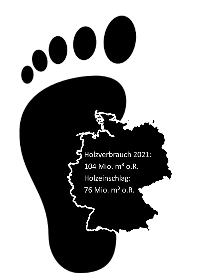 1 Der deutsche Holzfußabdruck 2021 belegt: ­Hierzulande wird mehr Holz verbraucht als in unseren Wäldern ­eingeschlagen.