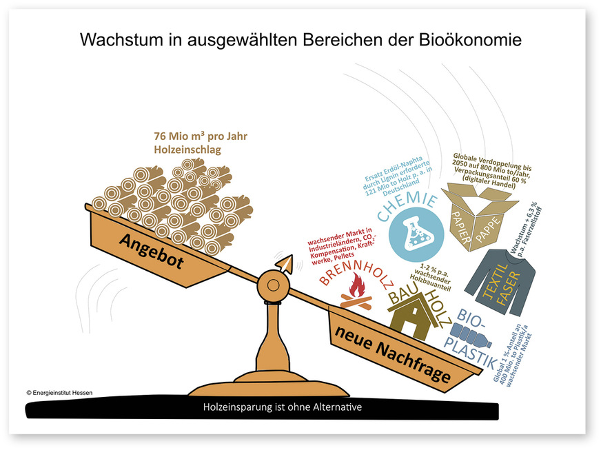 2 Bioökonomie – der neue Druck aufs Holz