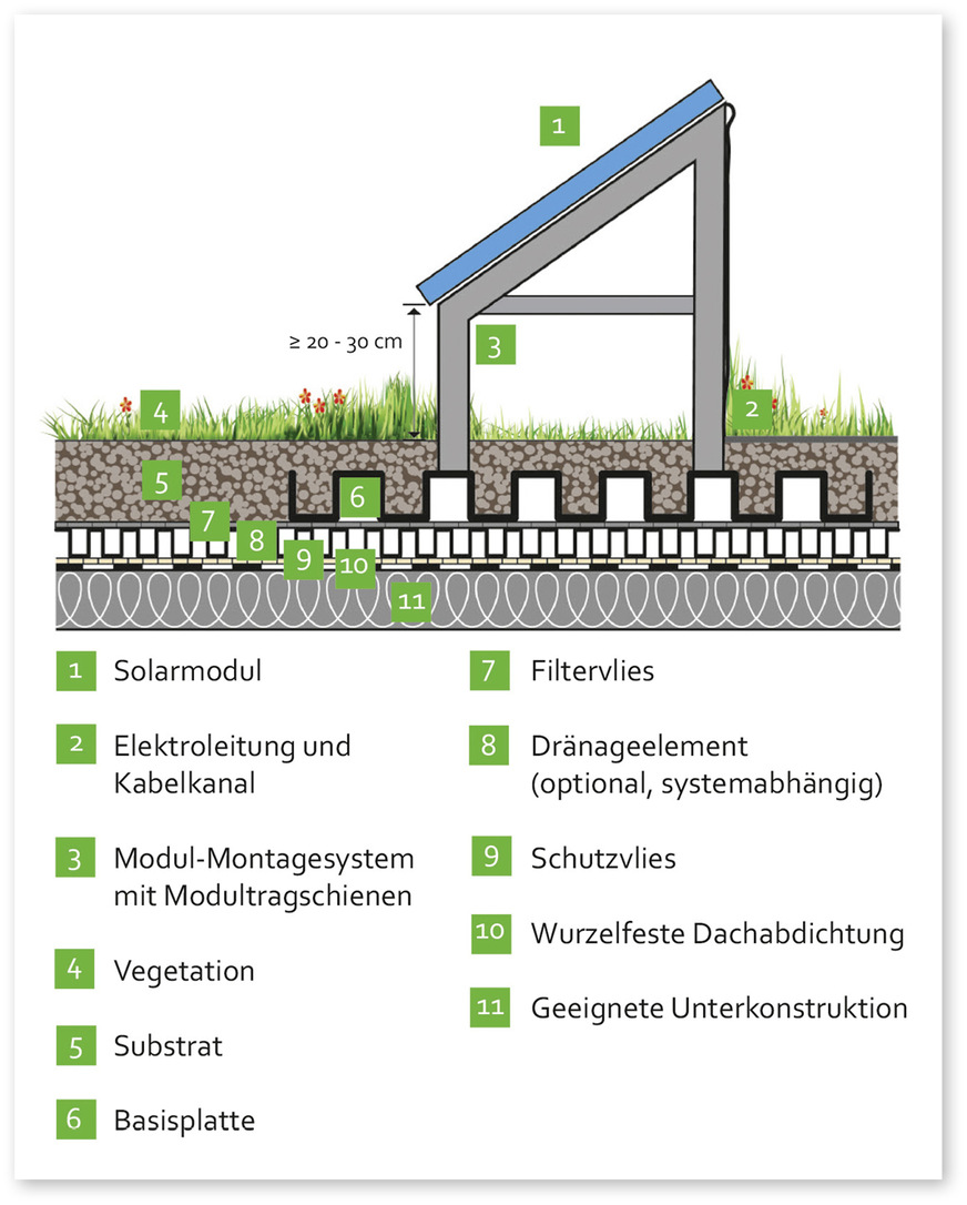 1 Schematischer Schnitt durch ein auflastgehaltenes Solar-Gründach: Der Gründachaufbau hält die PV-Aufständerung lagesicher und ohne Dach­durchdringung.