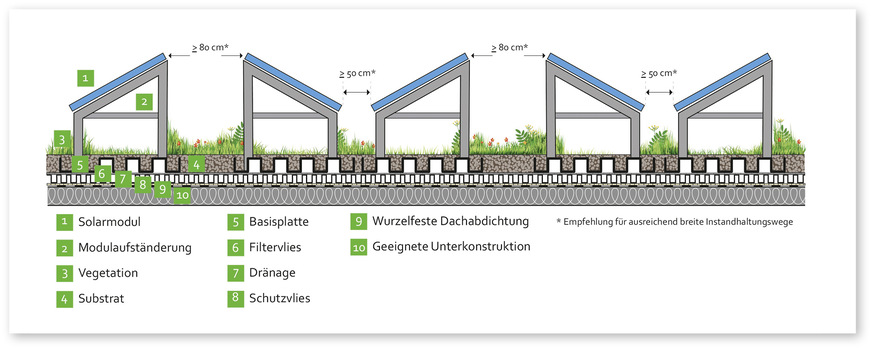 2 Schematische Darstellung eines Solar-Gründachs mit Ost-West-Ausrichtung der PV-Module
