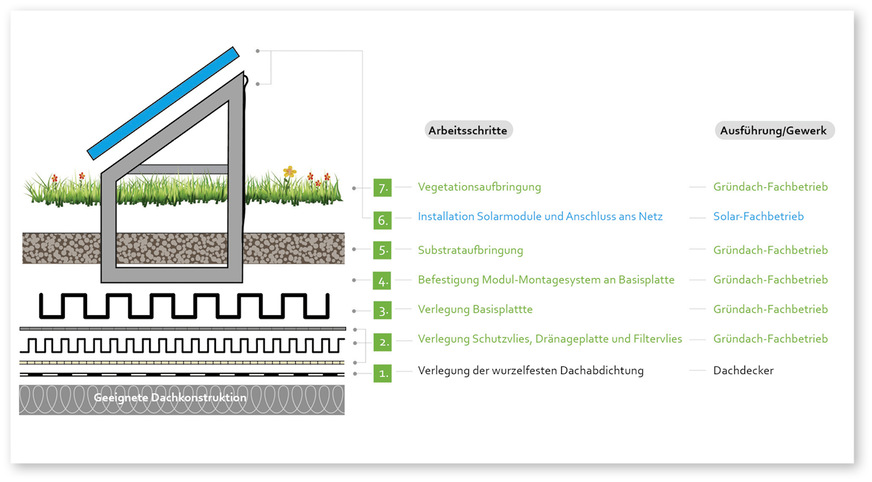 4 Gewerke bei Solar-Gründächern: Verantwortlichkeiten und Aufgaben