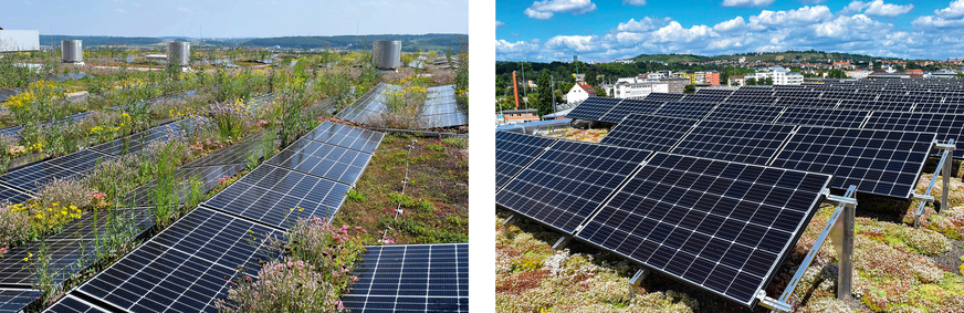 3 Schlechtes Beispiel, gutes Beispiel: Bei der nachträglich aufgebrachten, auflastgehaltenen PV-Aufständerung im linken Bild reichen die Abstände nicht aus. Mustergültig dagegen die Installation rechts. Die Abstände der PV-Module zum Substrat sowie zwischen den Modulreihen sind ausreichend bemessen.