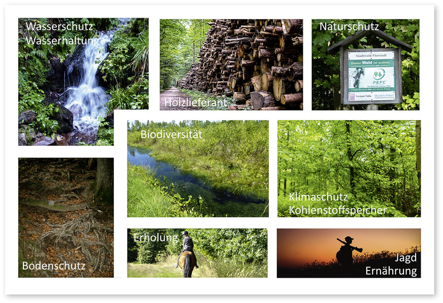 2 Ökosystemleistungen des Waldes