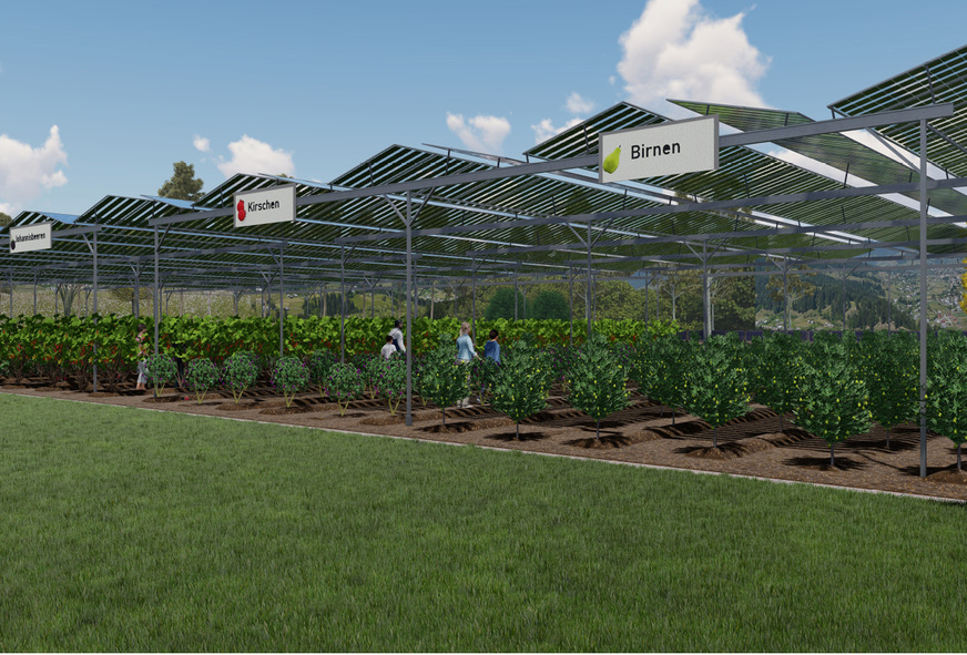 Ein Konzept: Die Anwohner können einen Teil der Anlage finanzieren und bekommen dafür zusätzlich einen Anteil an der Obsternte.