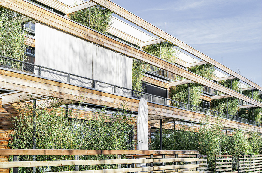 1 Die Begrünung sorgt durch Verdunstung zusätzlich für ein auch an heißen Tagen angenehmes Wohn- und Mikroklima.