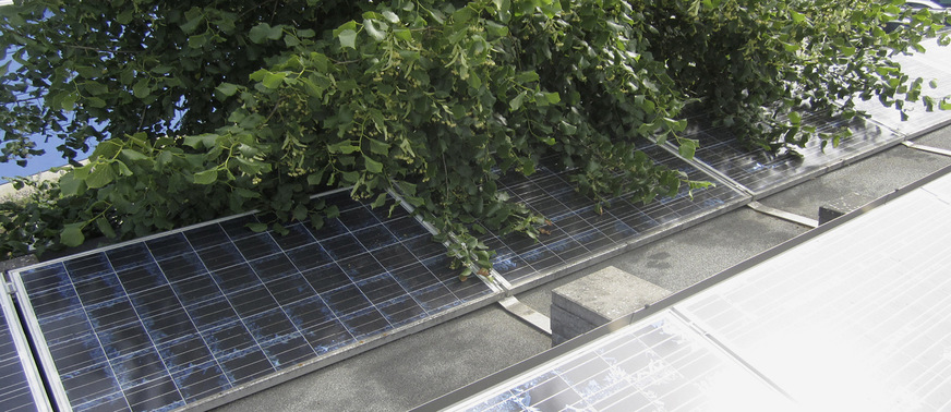 Hier wurde die Wartung komplett vernachlässigt, offenbar jahrelang.