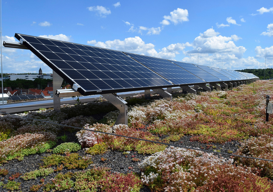 Im Sommer sehen Gründächer üppig aus. Im Winter sind sie nicht so schön anzusehen. Das ist der normale Zyklus der Natur.
