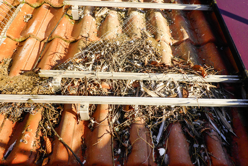 So sieht es unter den Modulen aus.