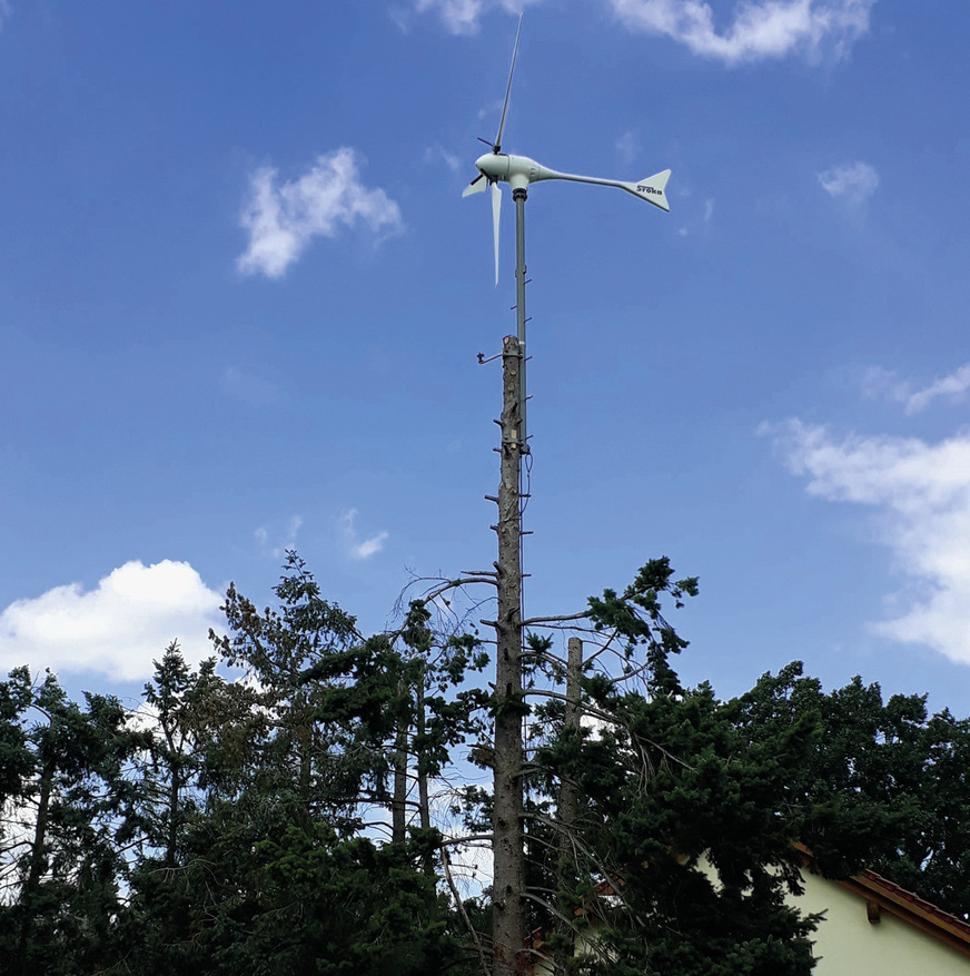 Ein Baum dient hier als Mast für den Windgenerator.