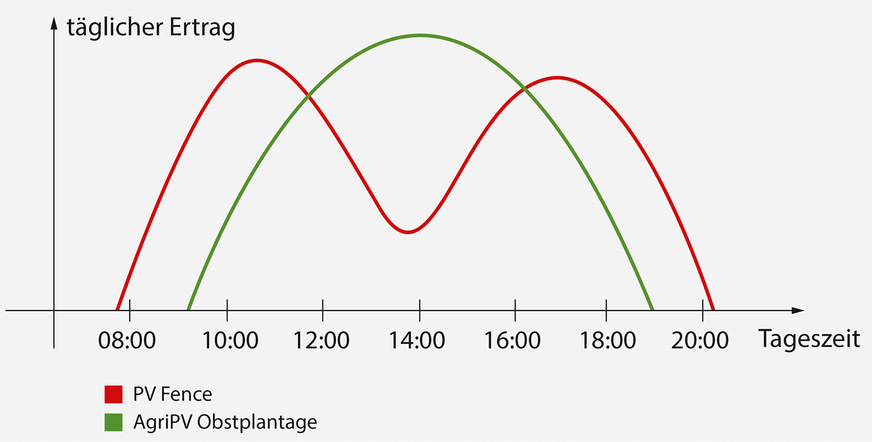 Die Stromproduktion der vertikal aufgeständerten Agri-PV-Anlage unterscheidet sich von der eines normalen Solarparks.