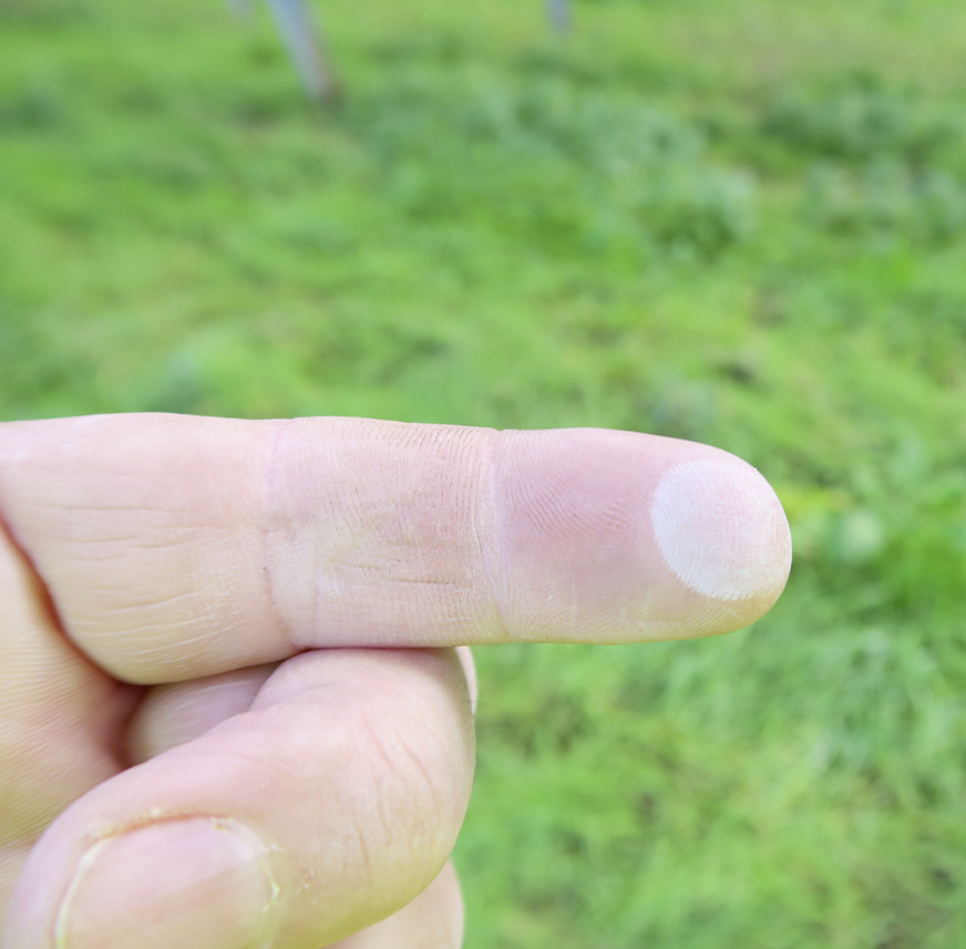 Folien mit Titanoxid kreiden unter Umständen aus. Solarmodule im Feld sollten nicht berührt werden, es droht ein elektrischer Schlag.