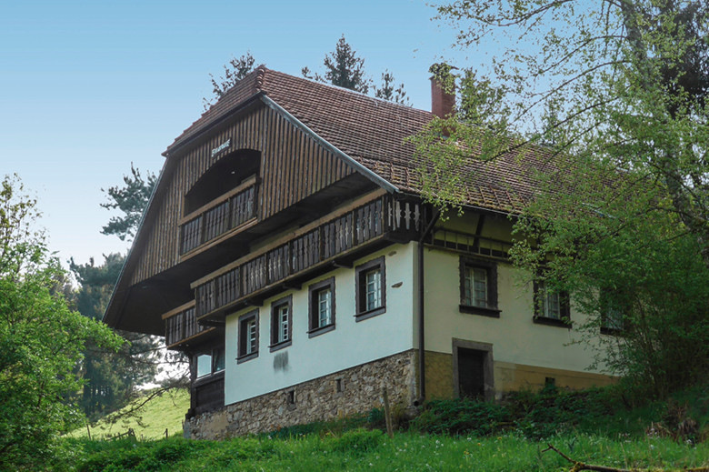 7 Im Lauf der Jahrhunderte hatte der Farnrainhof viele Veränderungen erfahren, wobei die Vorbesitzer mit dem Gebäude zum Teil sehr unsensibel umgegangen waren.