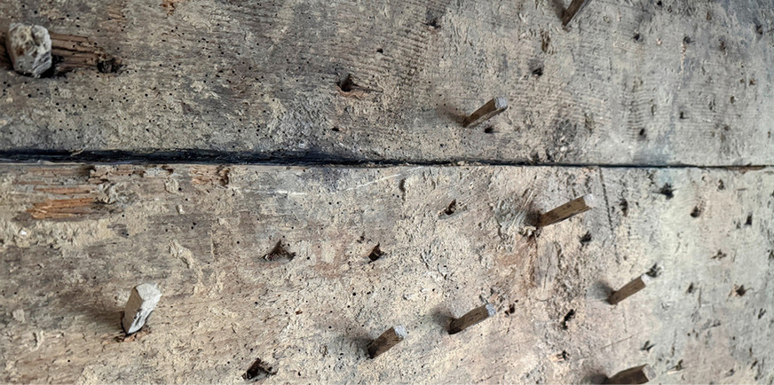 Holzbohlenwand eines historischen Gebäudes in Bayern, die bauzeitlich mit einem Lehmschlag überformt war: In die Bohlen eingetriebene Holznägel stellen die Verbindung des Lehmschlags mit dem Untergrund sicher.