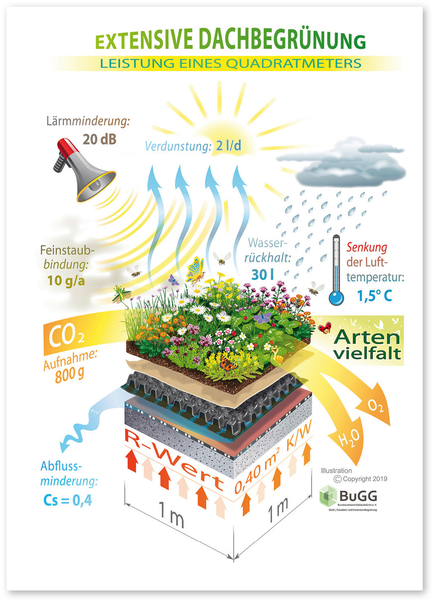 4 Ein Quadratmeter Begrünung mindert Lärm um 20 Dezibel, bindet zehn Gramm Feinstaub im Jahr und senkt die Lufttemperatur um 1,5 Grad Celsius. Außerdem steigert sie den PV-Ertrag und speichert Regenwasser.