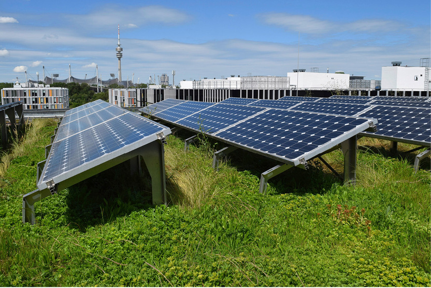 5 Nicht verschattete Solarmodule mit Südausrichtung kombiniert mit einer Pflanzenauswahl mit niedrigem Wuchs.