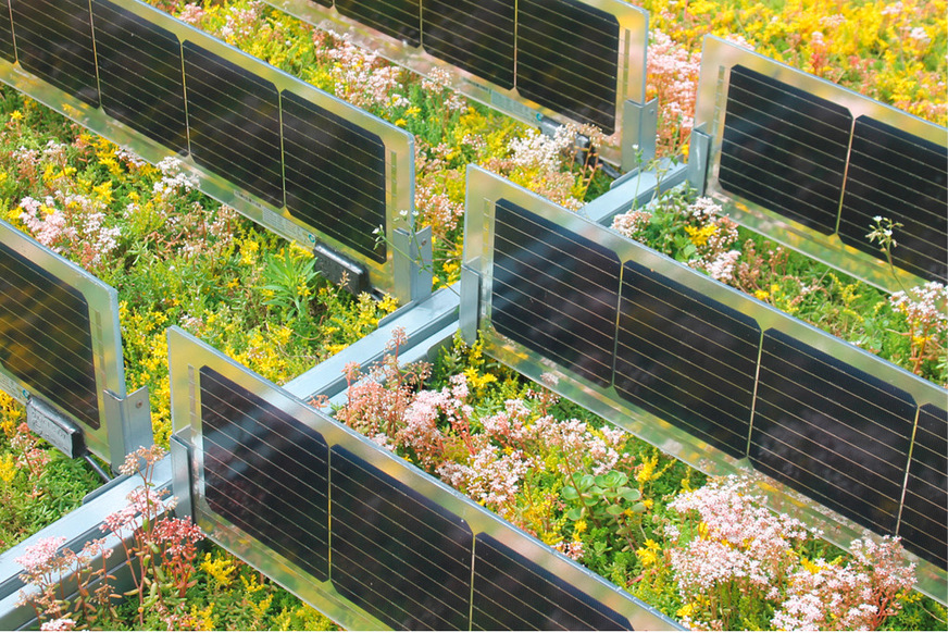 6 Vertikal integrierte PV-Module bieten genügend Platz für Wartungen und Reparaturen.