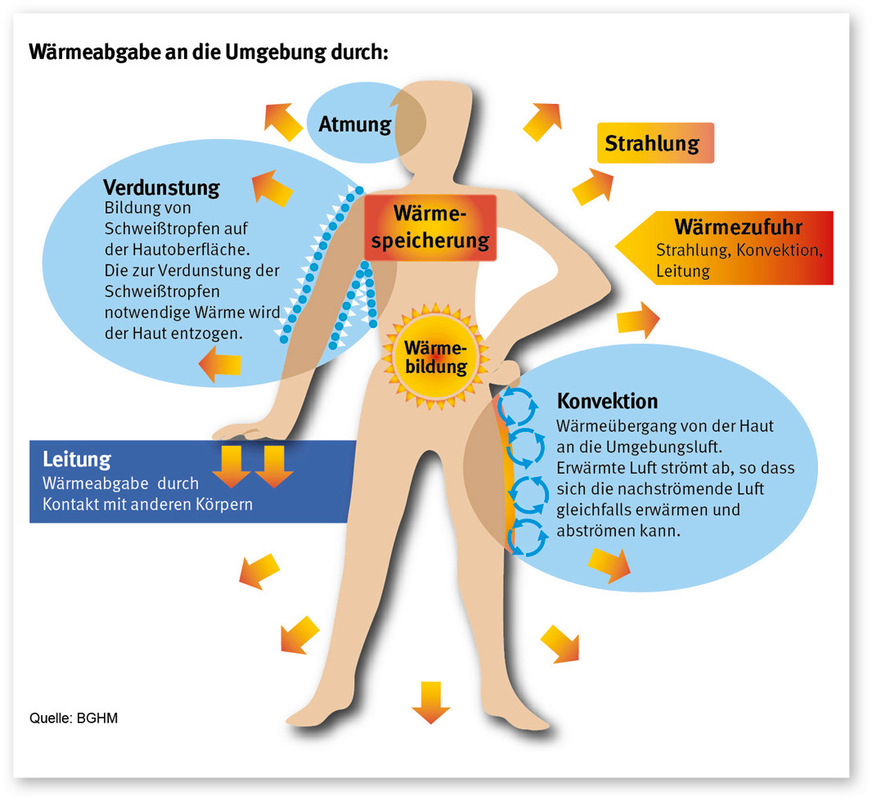 Mechanismen der Thermoregulation des menschlichen Körpers