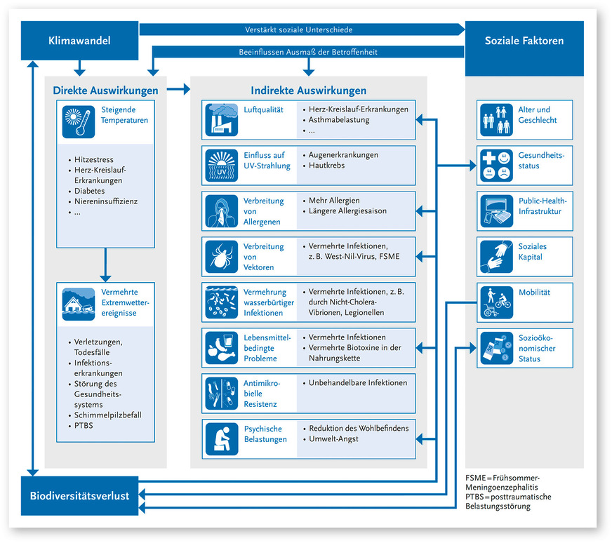 Direkte und indirekte Auswirkungen des Klimawandels auf die Gesundheit
