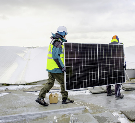 Die Module kommen aus Dresden von Solarwatt.