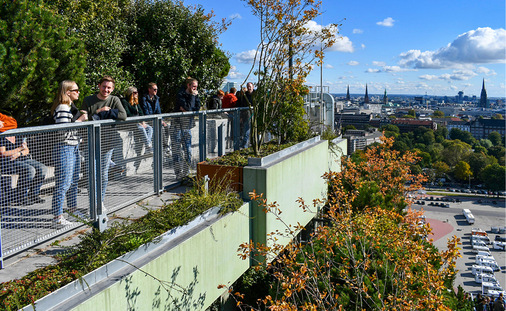 In den hängenden Gärten der Hansestadt am ehemaligen Flakbunker dürfen sich alle erholen.