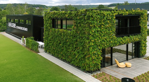 Hier hat sich ein Fachunternehmen für Fassadenbegrünung fachgerecht in Schale geworfen.