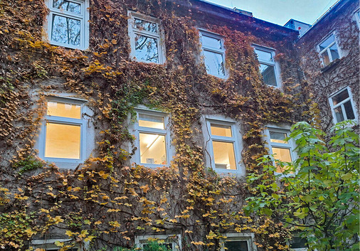 Fassadenbegrünung verbessert nicht nur das Klima im Gebäude und das Mikroklima, sie dienen auch der Biodiversität.