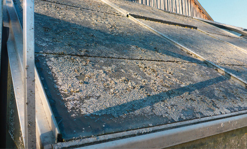 Diese Anlage wurde offenbar viele Jahre lang vernachlässigt.