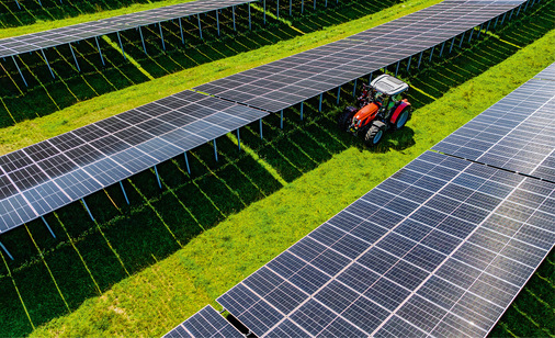 Zwischen den Modulreihen ist ausreichend Platz, um das Grünland zu bewirtschaften.