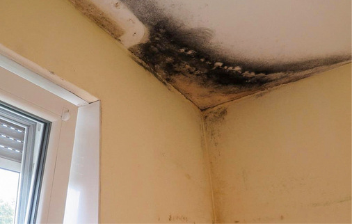 3  Werden lediglich undichte alteFenster durch dicht schließende moderne ersetzt, schlägt sich nicht mehr abgeführte Feuchte an geometrischen Wärmebrücken nieder und kann z﻿u Schimmelbefall führen.