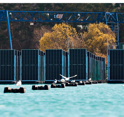 Wasservögel freuen sich über neue Nistmöglichkeiten.