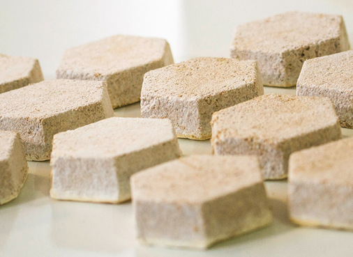 Testkörper aus Pilzwerkstoff: Infrage käme zum Beispiel die Verwendung als Dämmstoff.﻿