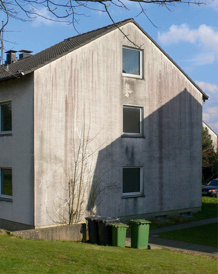 Sind die Fassaden nicht ausreichend vor Niederschlägen geschützt, weil unter anderem die Dachüberstände zu kurz sind, bekommt die Alge, was sie braucht: Feuchte.