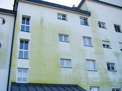 2  ﻿Gr﻿oßflächiger Algenbefall an einer Nordfassade: Bezeichnenderweise bleiben die Zonen direkt unter den Dachüberständen, so schmal sie sind, und unter den Fensterbänken frei, da dort ein gewisser Schutz vor Niederschlägen gegeben ist.