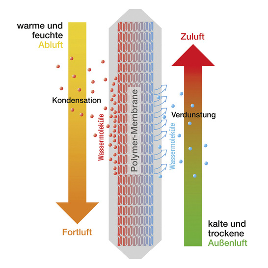 So funktioniert der Enthalpiewärmetauscher im Winter: Seine Polymer- Membran überträgt die Wärme von der Abluft auf die Zuluft. Für Feuchtigkeit ist sie durchlässig (nicht aber für Luftschadstoffe wie Bakterien, Schimmelsporen oder Viren). Die in der warmen Abluft enthaltene Feuchtigkeit sammelt sich als Wasserdampf an der Membran. Aufgrund ihrer besonderen Eigenschaften kann der Wasserdampf auf die Zuluft übergehen. Dort wird er vom Luftstrom aufgenommen und in das Gebäude zurückgeführt.