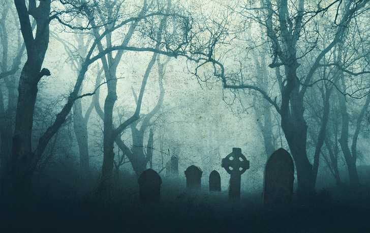 Durch einen „Friedwald“ wird die Windenergie in einer Gemeinde in Sachsen beerdigt.